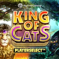 Ikon game King of Cats dari Big Time Gaming