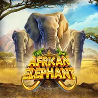 Ikon game African Elephant dari Pragmatic Play